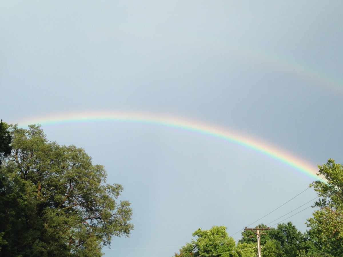 Poem: Terrific and Welcome&nbsp;News