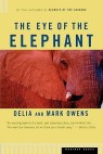 Eye of the Elephant