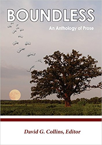 51gc6ldrlnl-_sx351_bo1204203200_