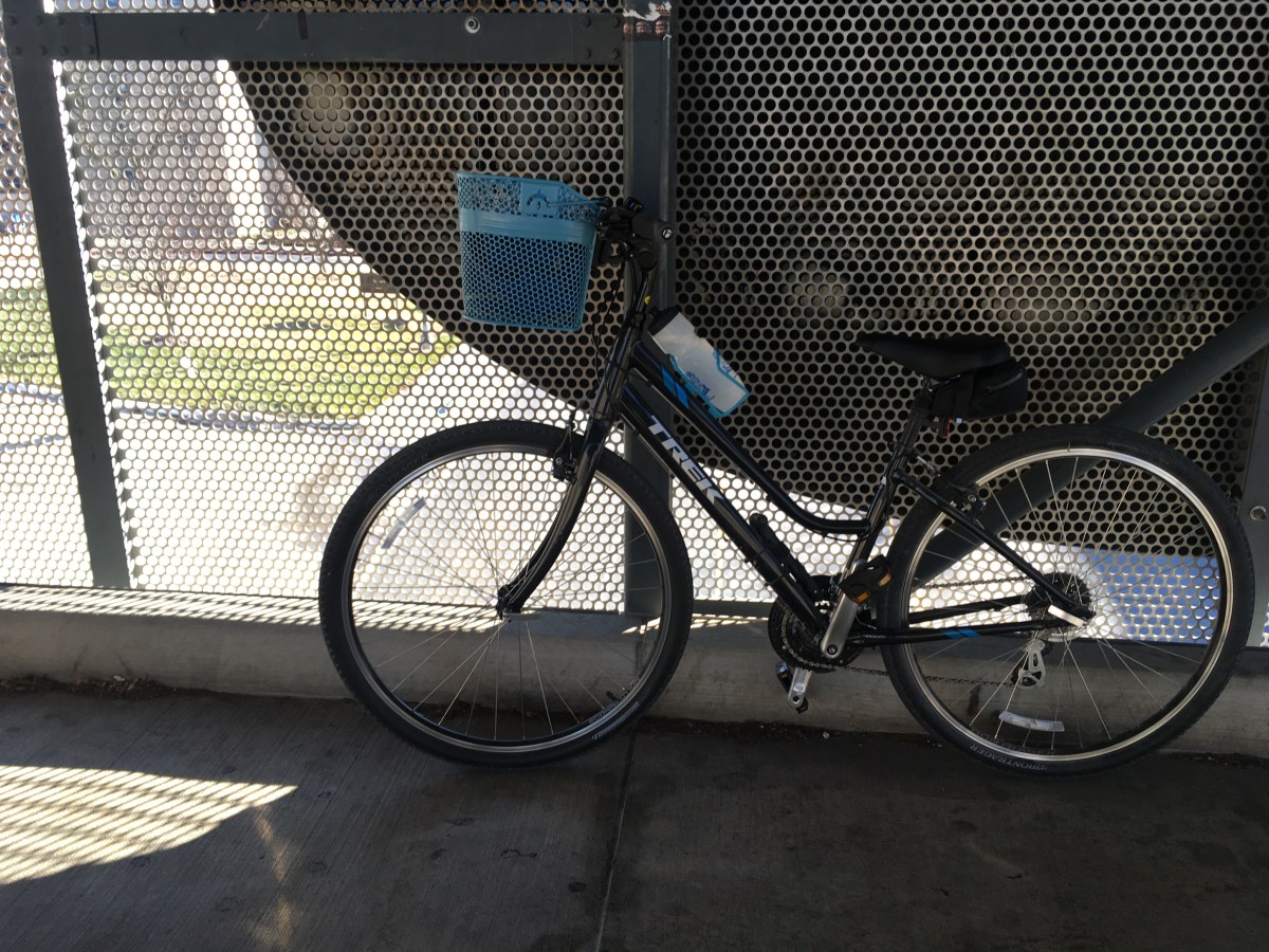 On Today’s Bike Ride: Freakishly Warm&nbsp;Christmas