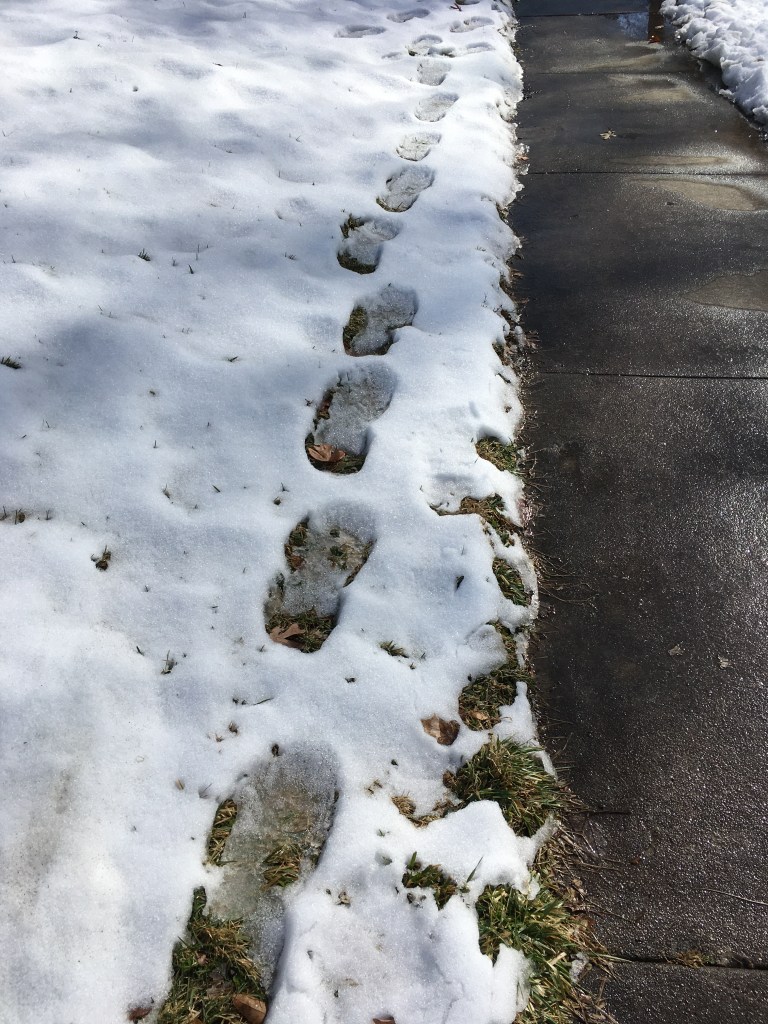 Footprints in snow.