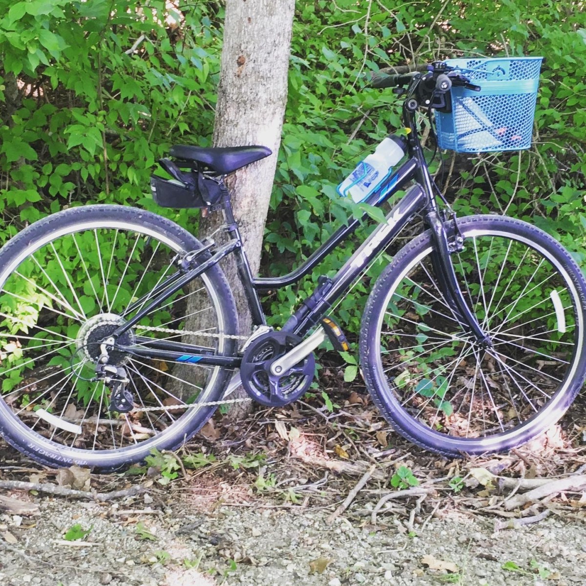 On Today’s Bike Ride: Peace, Geology and an Accidental&nbsp;Selfie