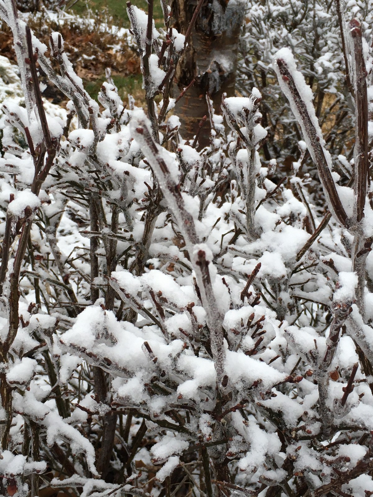 On Today’s Walk: Winter&nbsp;Walking