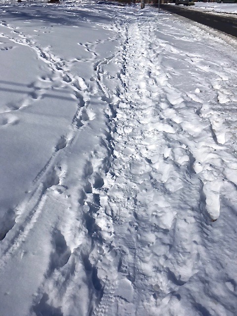 footprints in snow