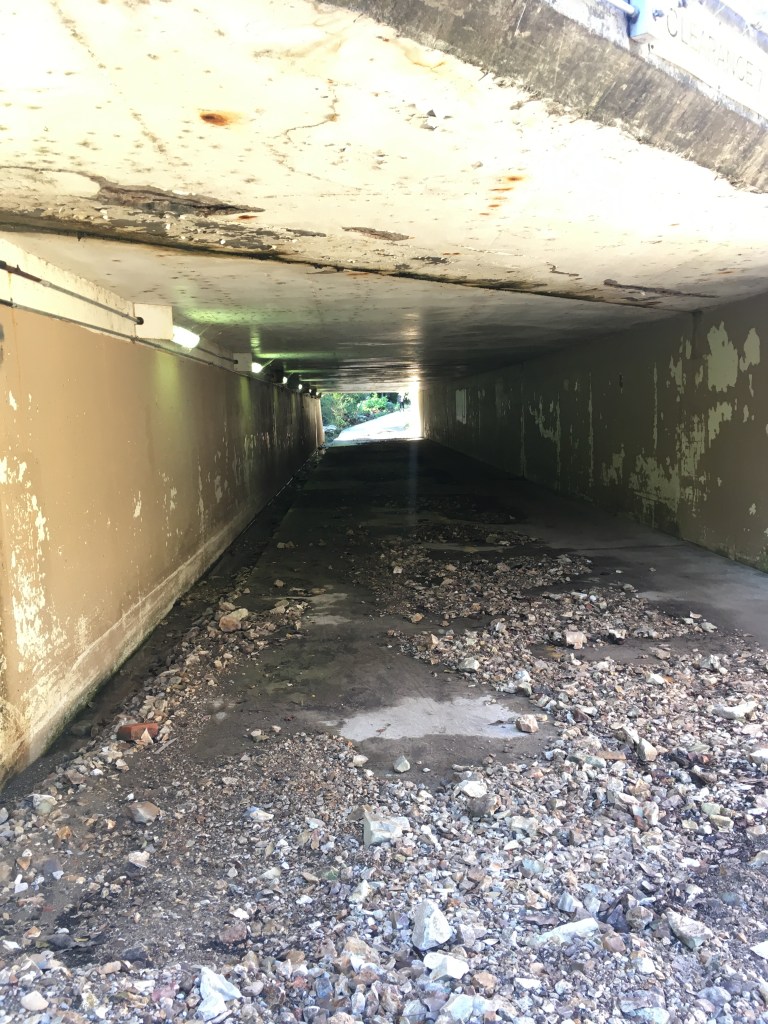 Trail tunnel.