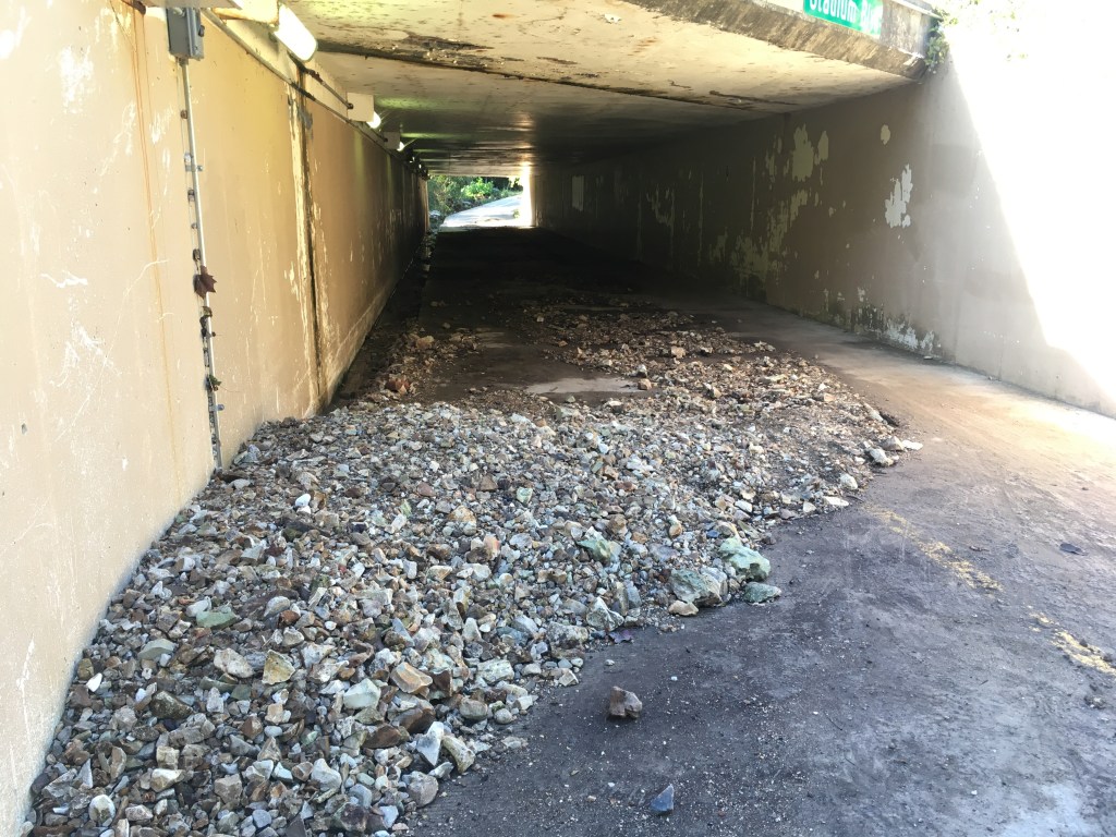 Trail with rocks and mud