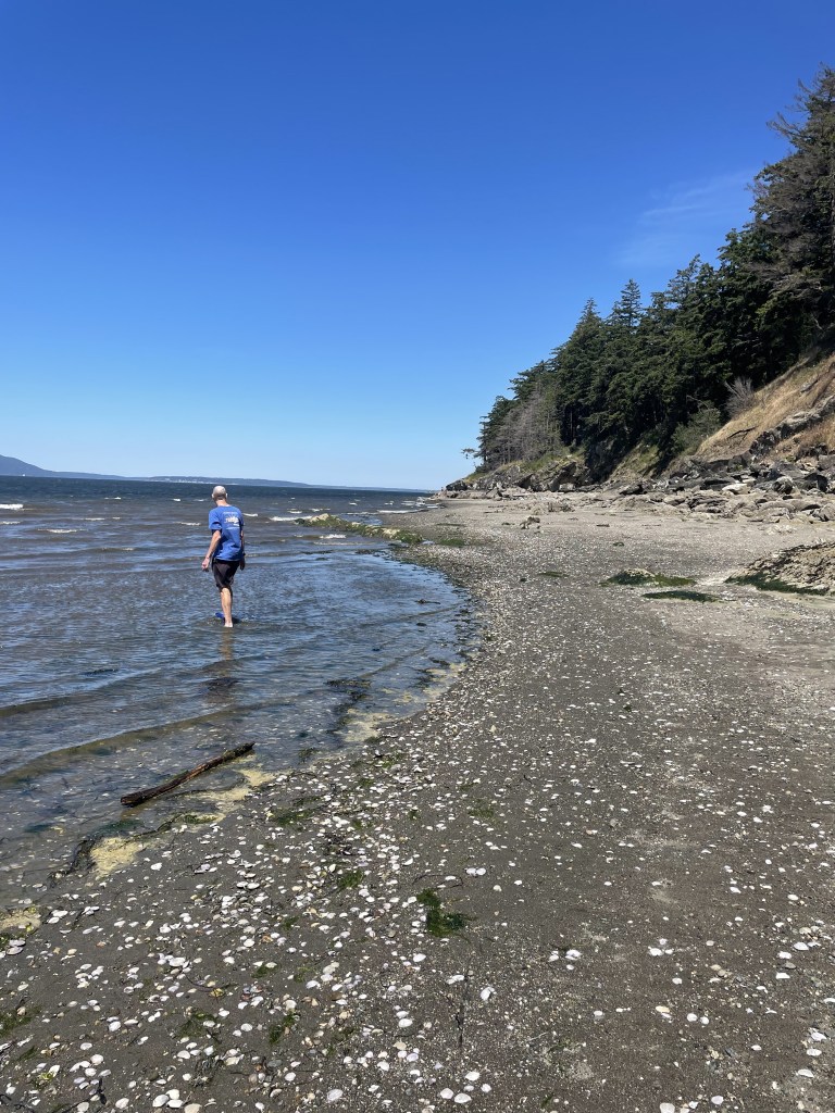 Person wading in surf at beach
