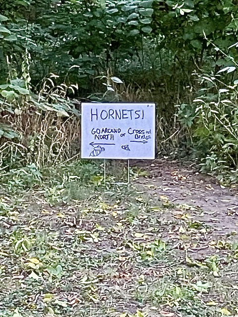 Sign posted by some considerate person warning of hornets on the path. A little drawing of a hornet is included, and directions to alternate routes.