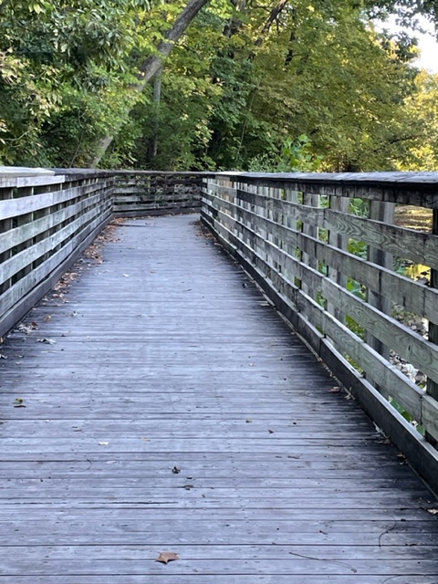 Long bridge of weathered wood with a curve to the right up ahead.