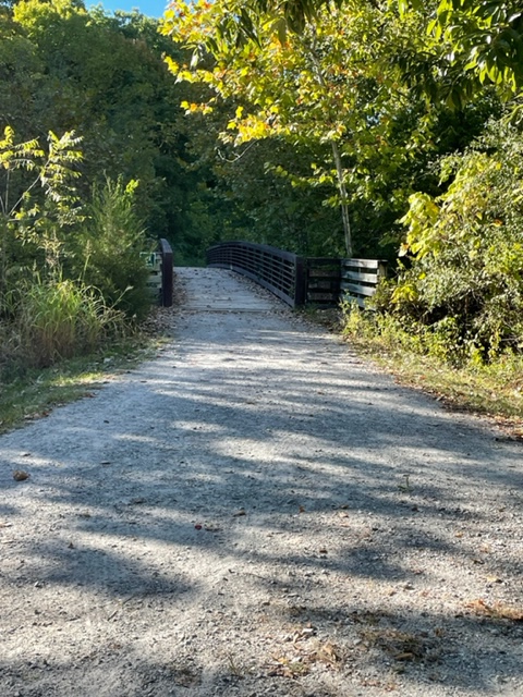 On Today’s Walk: No Bears&nbsp;Detected