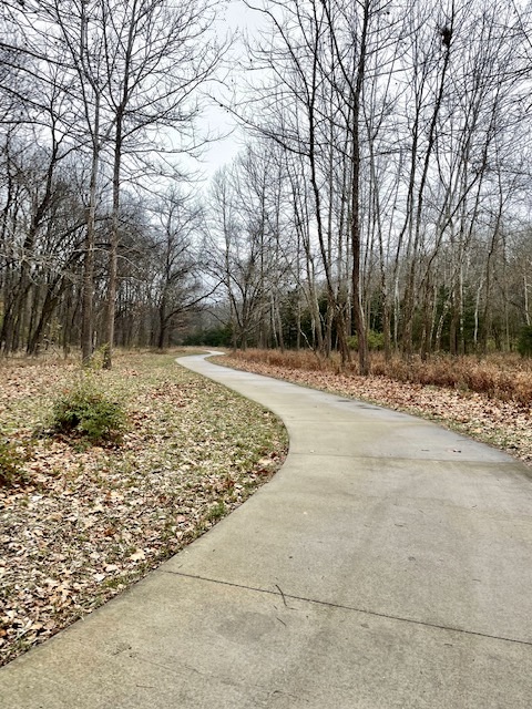 Concrete walking trail winding between leafless trees. Overcast sky.
