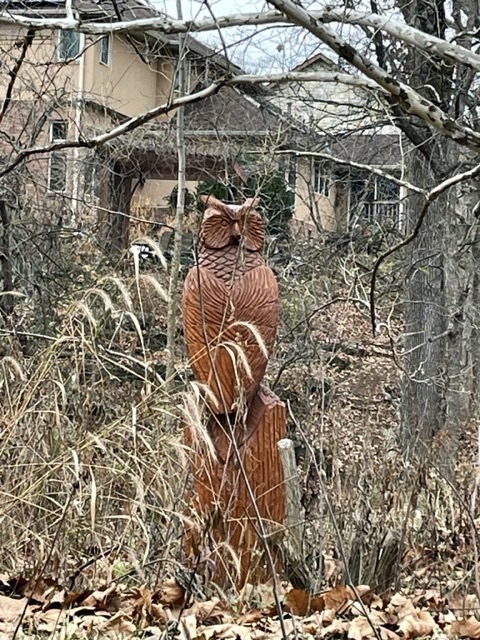 Large wooden owl carved from tree stump.