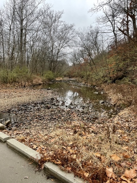 Shallow creek with many rocks, winding through autumn landscape.