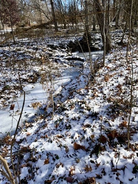 Frozen creek