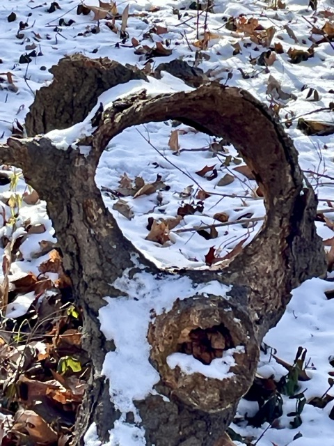 log with round hole, showing snowy ground through it.