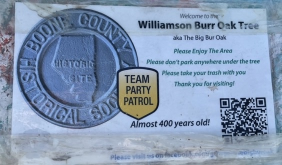 Sign about Williamson Bur Oak: Nearly 400 years old.