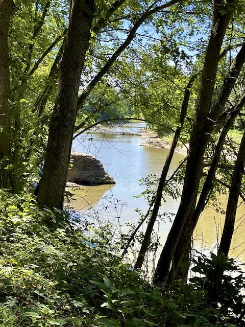 Expanse of a meandering creek seen through some trees. Rock jutting out of water. Blue sky.