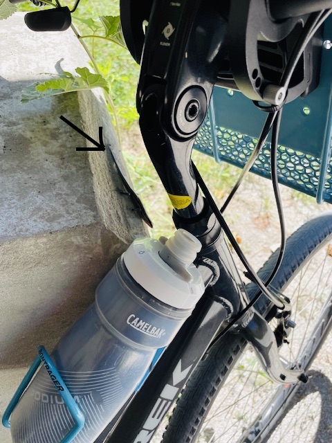 Skink on rock stretching its head toward a bicycle water bottle on a bike frame.