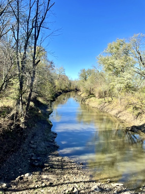 Creek with trees lining both sides. Blue sky.