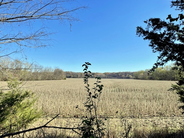 Field bordered by trees in the distance.