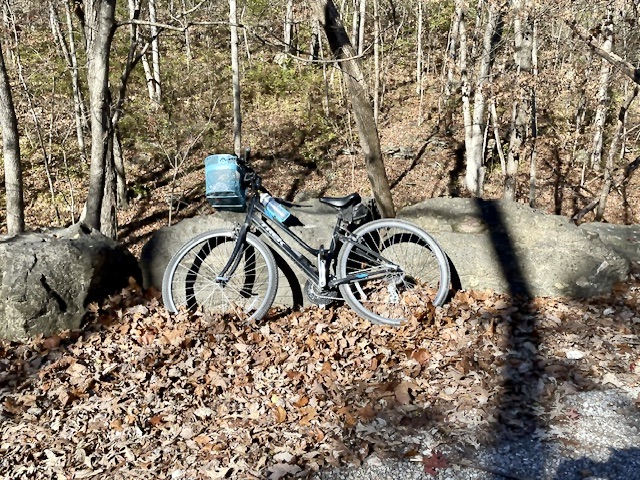 Black bicycle with blue front basket leaning against rocks. Trees behind. Leaves on ground.