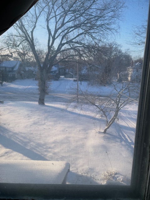 Snowy yard and driveway with houses across the street, seen from a window