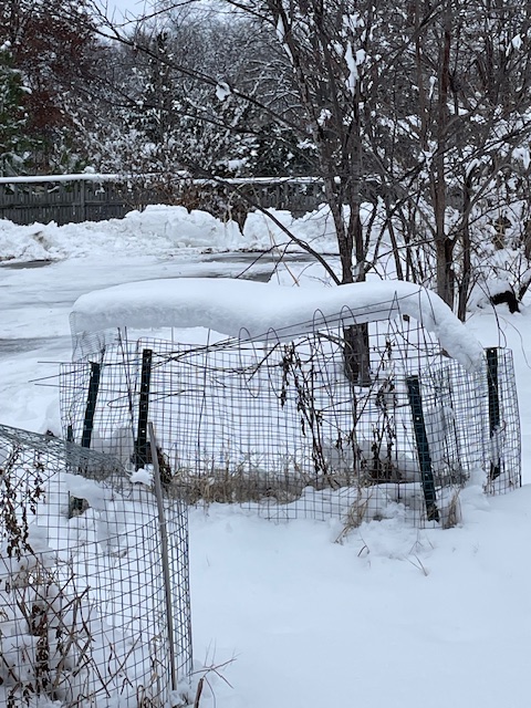 Snowy yard with a snow cover over garden fencing