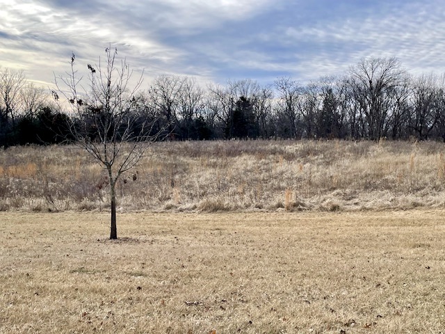 mown brown grass foreground, behind that, tall prairie grasses and trees