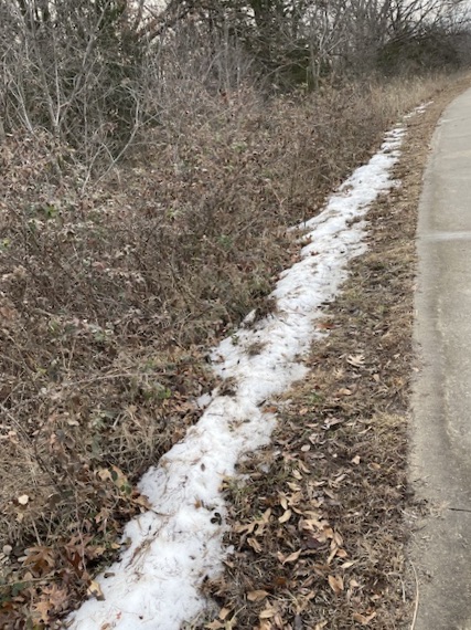 line of snow in brown grass next to a walking trail