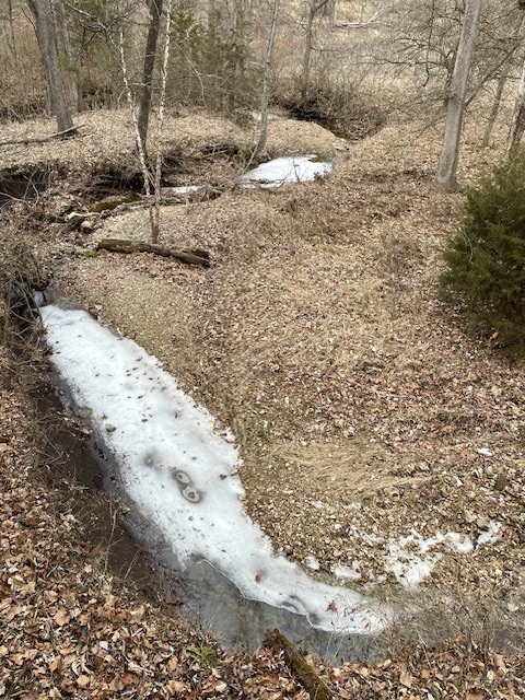 Ice on a narrow creek bed