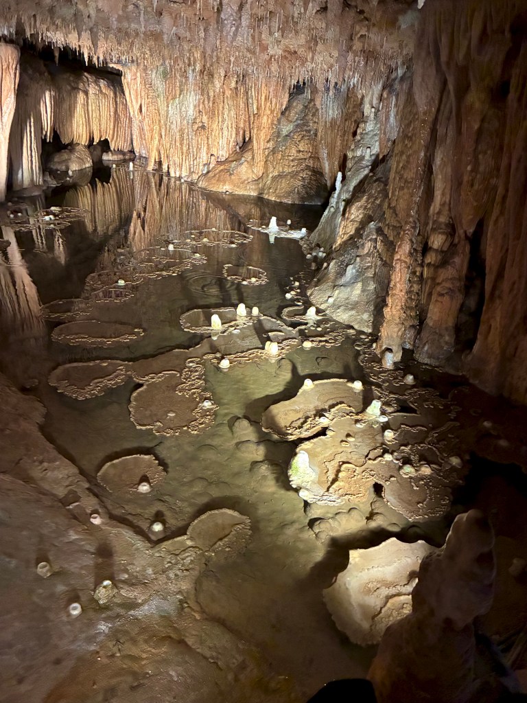 Inside a cave, flat rock formations in water look like lily pads
