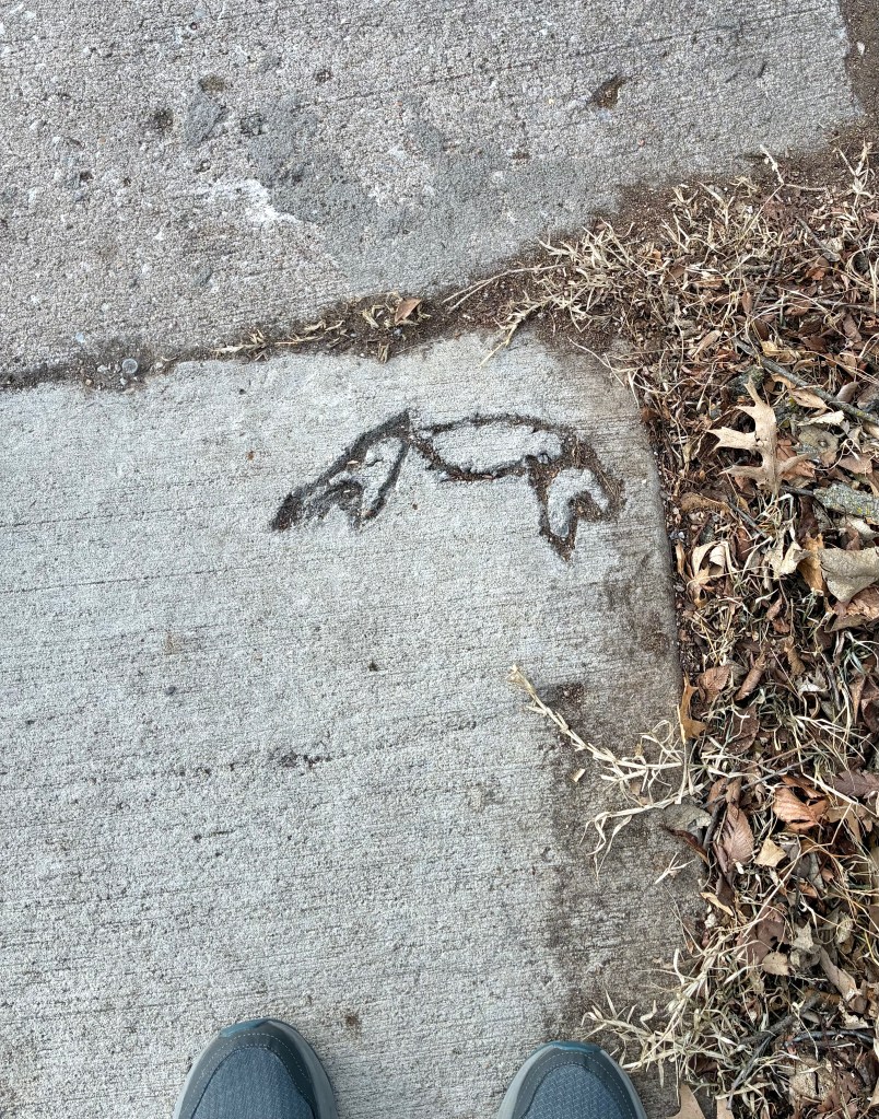 Sidewalk with a crab figure etched into the cement. The tips of two gray tennis shoes visible a step away.