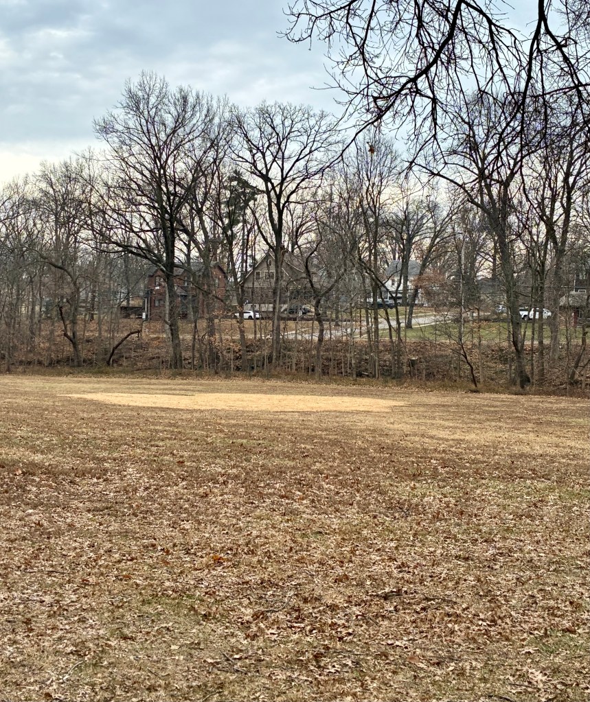 Grassy field in a park. One patch of grass is noticeably lighter in color than the surrounding area.