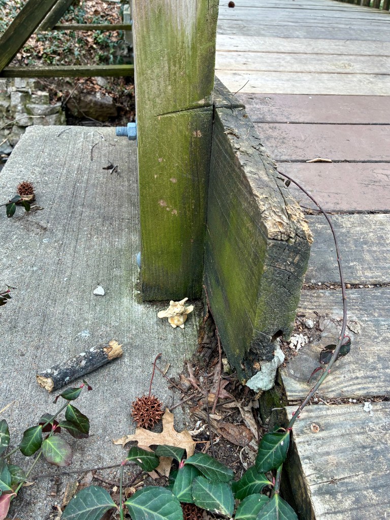 Small clay creature sitting on concrete pad of wooden bridge abutment.