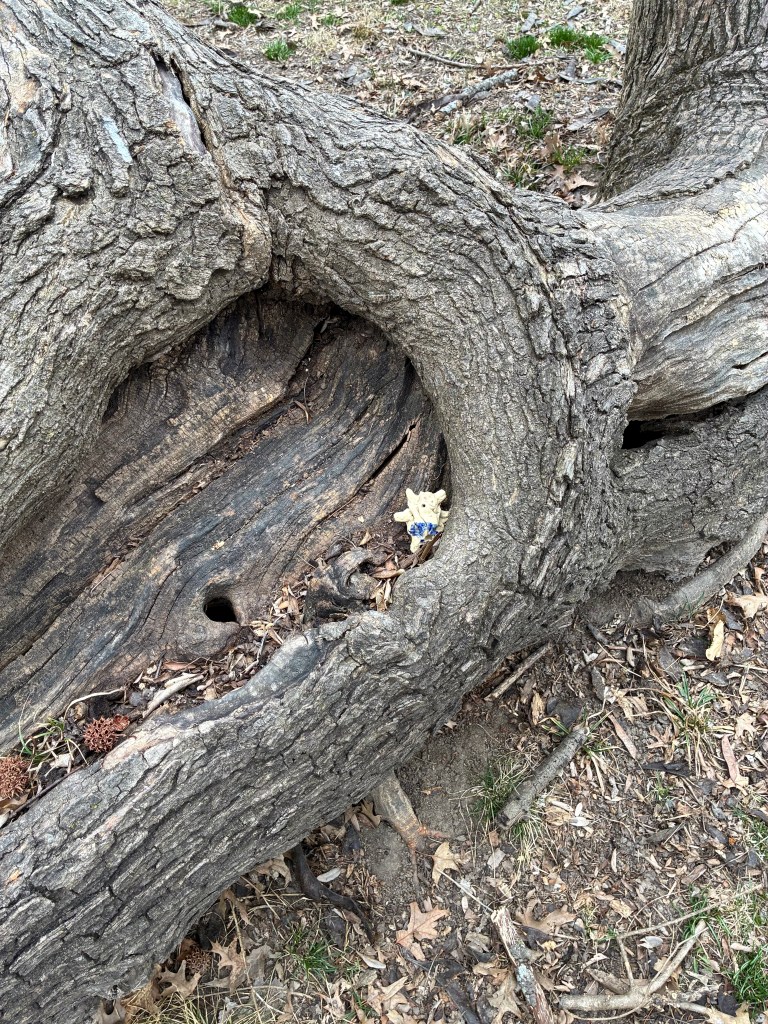 Small clay figurine of a creature inside a tree crevice.