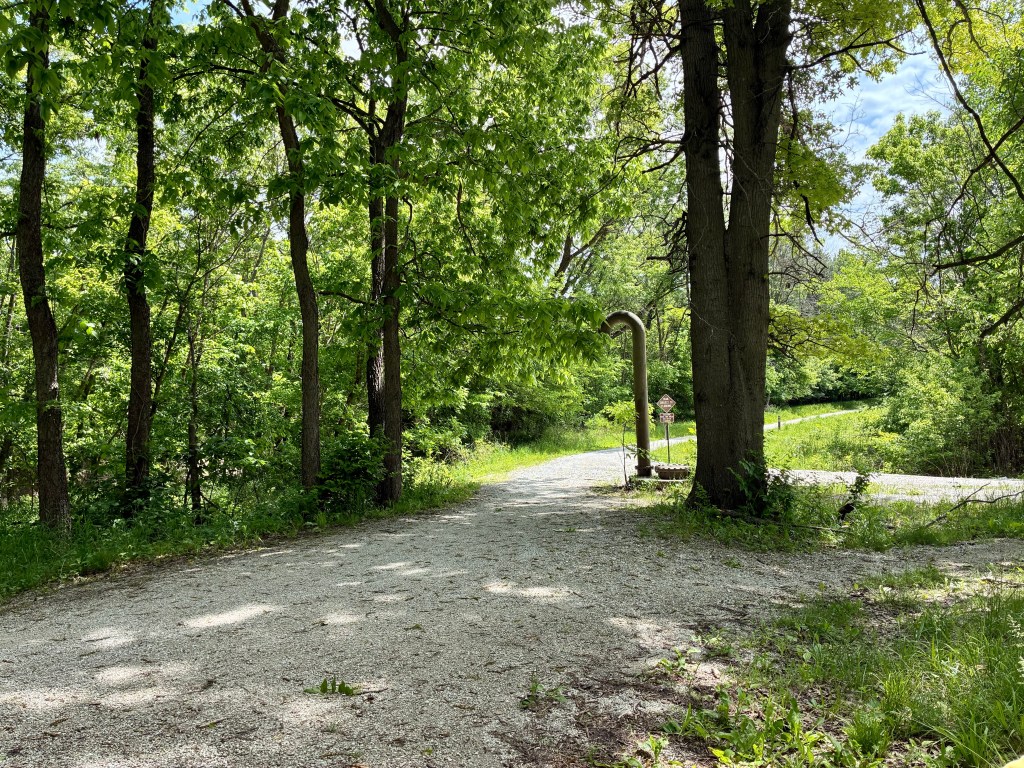 Crushed limestone trail with green trees and green grass.