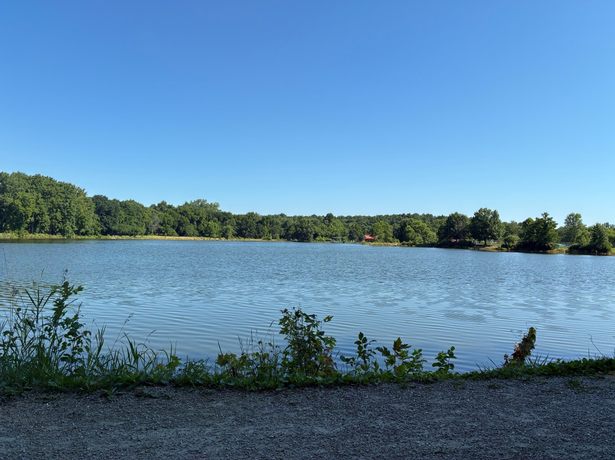 Lake with shelter house on opposite shore. Blue sky above.